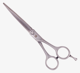 Categories - Scissors #9676604