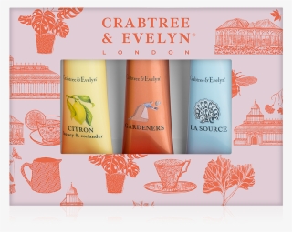 Best Sellers Hand Therapy Sampler - Cosmetics #9677842