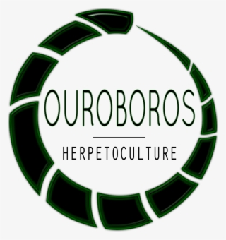 Ouroboros Png #9678119 Ouroboros Png #9678119