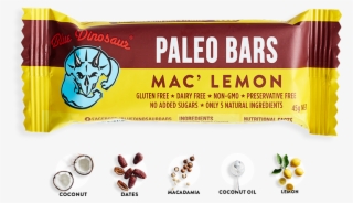 Paleolithic Diet #9679604