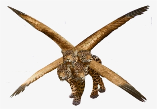 The Rise And Fall Of Empires - Leopard With Four Heads And Four Wings #9680402