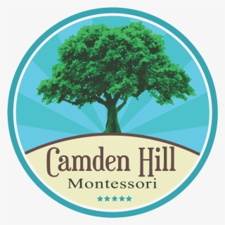 Camden Hill Png Logo - Brown's Budget Tree Service #9680629