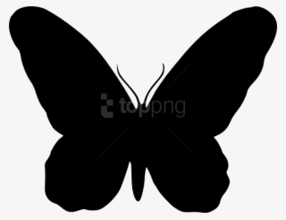 Butterfly Silhouette Png - Butterfly Silhouette Vector Png #9681798