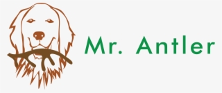 Mr - Antler - Graphic Design #9682511