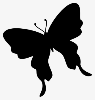 Butterfly Black Silhouette Shape From Top View Rotated #9682663