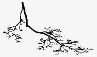 12 Tree Branch Silhouette Png Transparent Vol - Ranting Png #9682705