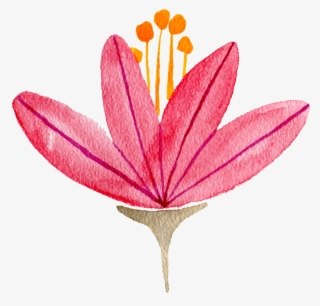 Pink Lily - Illustration #9683092