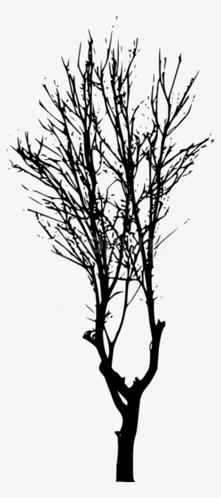 Free Png Tree Silhouette Png - Silhouette #9683093