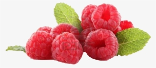 Raspberry Png - Frische Himbeeren #9684008