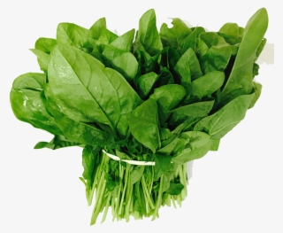 Organic-spinach - Spinach #9684233