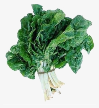 Spinach Sticker - Spinach And Leafy Greens #9684287