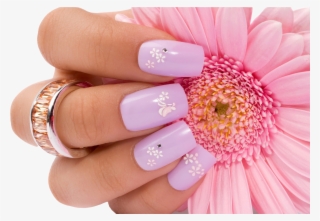 Nail Png Image 10 File Type - Nails Art #9684647