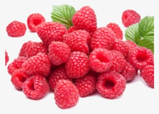 Dinner Lady Rice Pudding #9684649