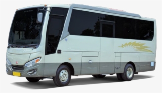 Big Bird Delta Bus 2 - Minibus #9685135