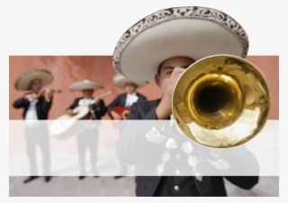 Mariachis En El Df - Mariachi Trompeta #9685180