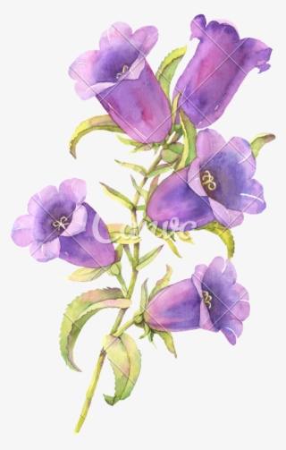 Blue Bell Flowers - Blue Bell Flower #9686815