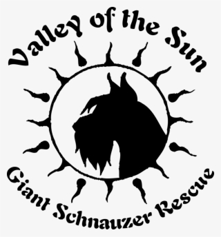 Women's Anvil T-shirt 6 Design Options Multiple Color - Stencil Designs #9687092