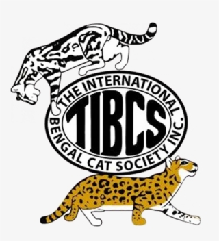 What Is The Tibcs Association - Alfonso National High School #9687776