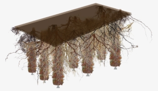 Increased Waterfront Value - Wood #9689469