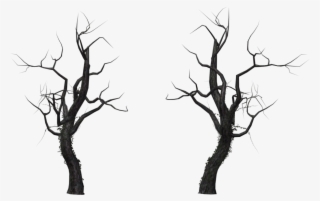 Share This - - Dead Tree Png #9689501