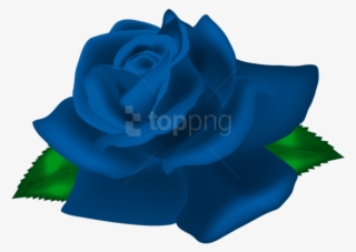 Free Png Download Blue Rose Deco Png Images Background - Rose Png Img #9692190