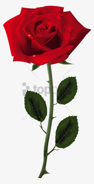 Free Png Rose Png Image With Transparent Background - Rose Png #9692460