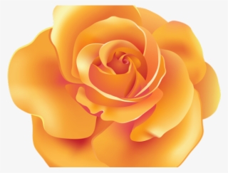 Spain Clipart Beauty And The Beast Rose - Orange Rose Clipart Png #9692856