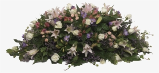 Pastel Previous - Garden Roses #9693427