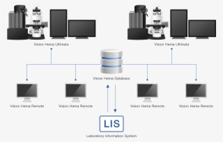 Information Environment - Diagram #9693583