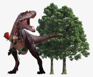 Out Of The Garden, Into The Woods - Realistic Tree Vector Png #9693712