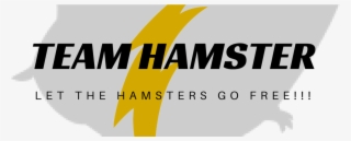 Cropped Tshirt Logo New - Anatel #9693831