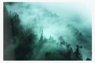 Previous - Mist #9694427