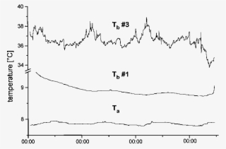 Fluctutations Of Body Temperature During Euthermy (hamster - Plot #9694582
