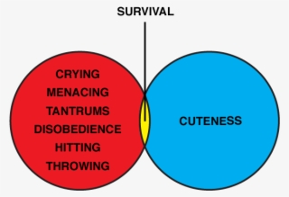 Asset 2@2x - Times When I Am Truly #9694700