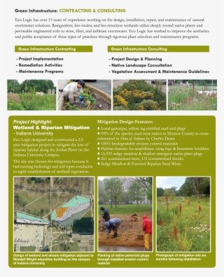 Green Infrastructure - Tree #9696442