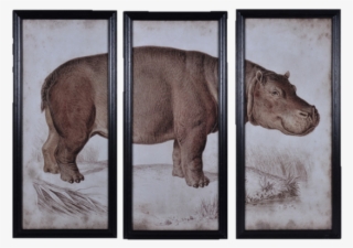 Nature Hippo Wall Art - Timothy Oulton Hippo #9696909