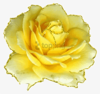 Free Png Download Gifs Et Tubes Fleurs - Animated Gif Yellow Roses #9697424