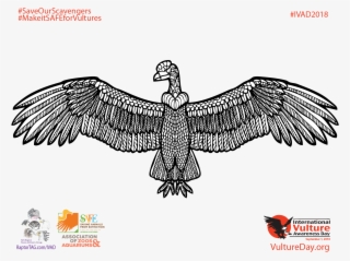 Download The - Golden Eagle #9697428