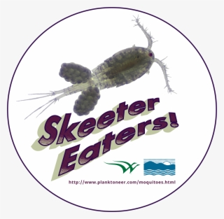 Plankton Png #9697689