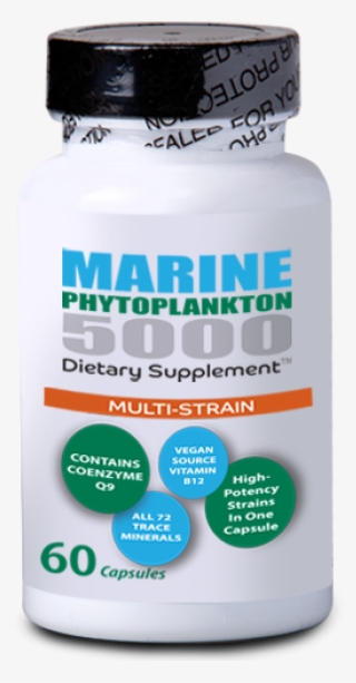 More Views - Fungus #9697777