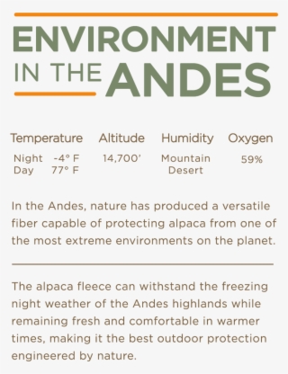 Once You Go Alpaca, - Poster #9698215