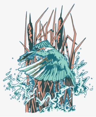 Kingfisher - Illustration #9698487
