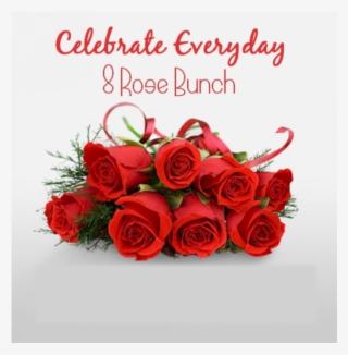 8 Roses Bunch - All Colours Rose Full Hd #9698915