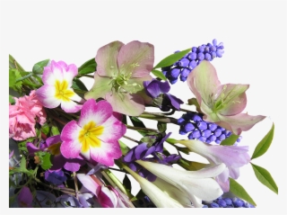 Flower, Bunch, Mixed, Spring #9699131 Flower, Bunch, Mixed, Spring #9699131