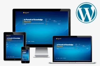Responsive Website Development - Portfolio Mobile Website Design #9699159