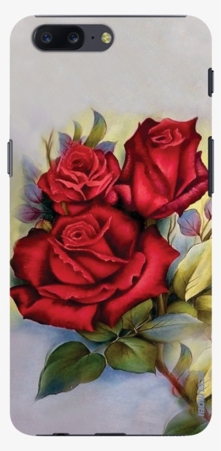 Garden Roses #9699280