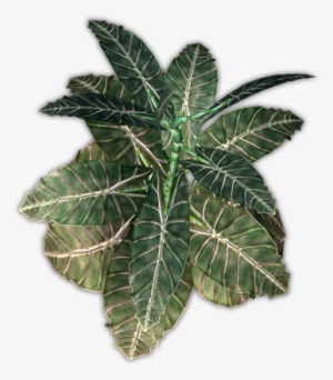 Plant Emoji Png - Houseplant #970184