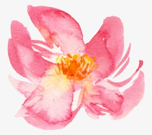 Flower Naana #970212