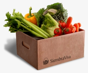 Frutas Y Verduras - Soil & Seed Organic Vegetable Small Box #970654
