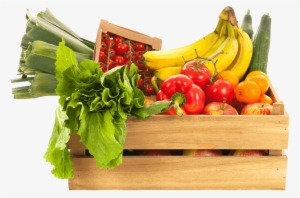 Continuar Leyendo >> - Orora Fibre Packaging #970659